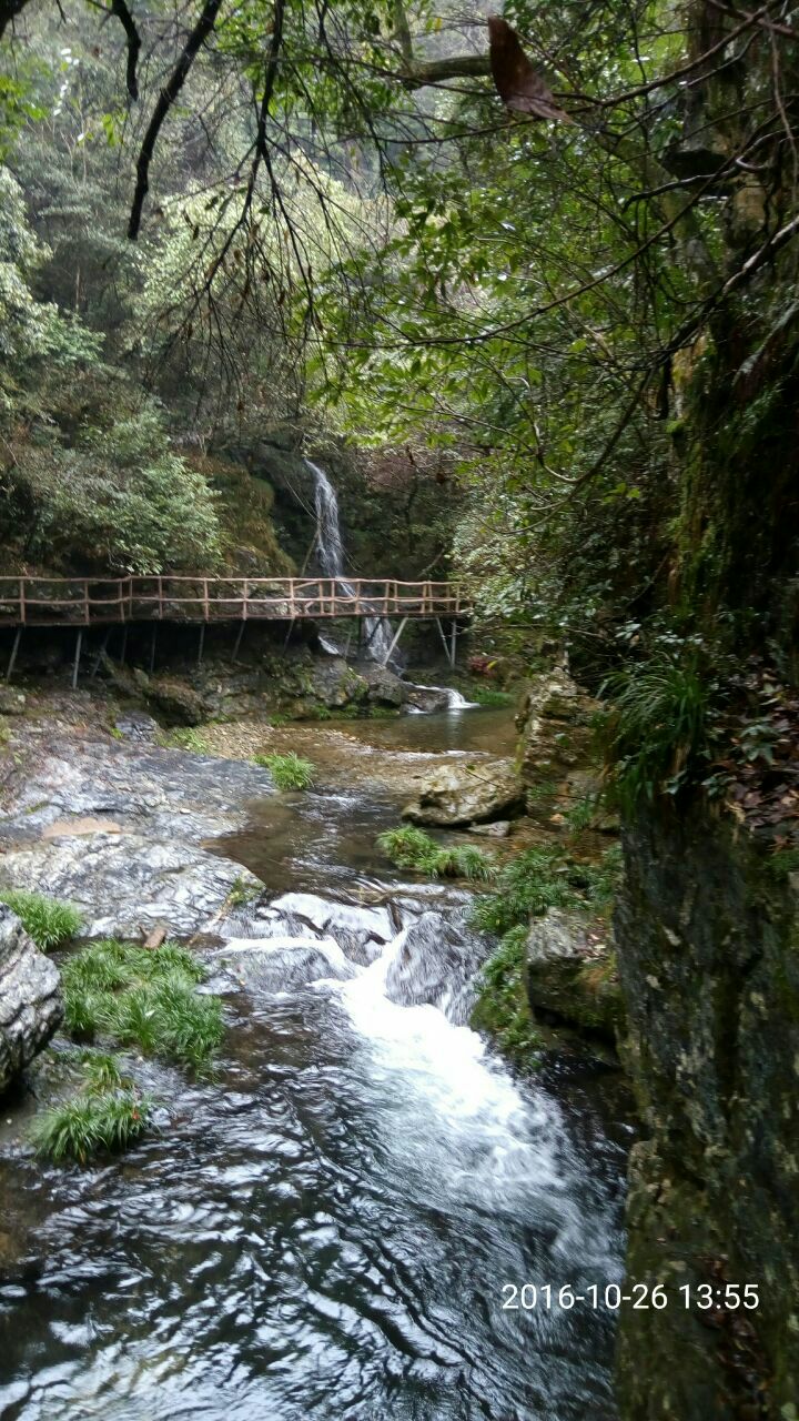 2018仙寓山_旅游攻略_门票_地址_游记点评,东至旅游