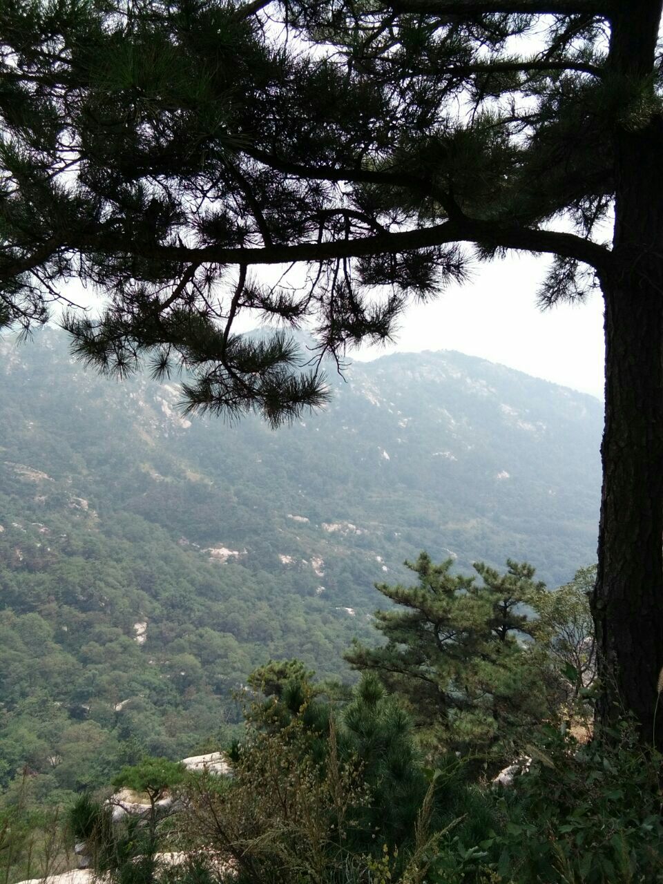 苍马山国际旅游度假区