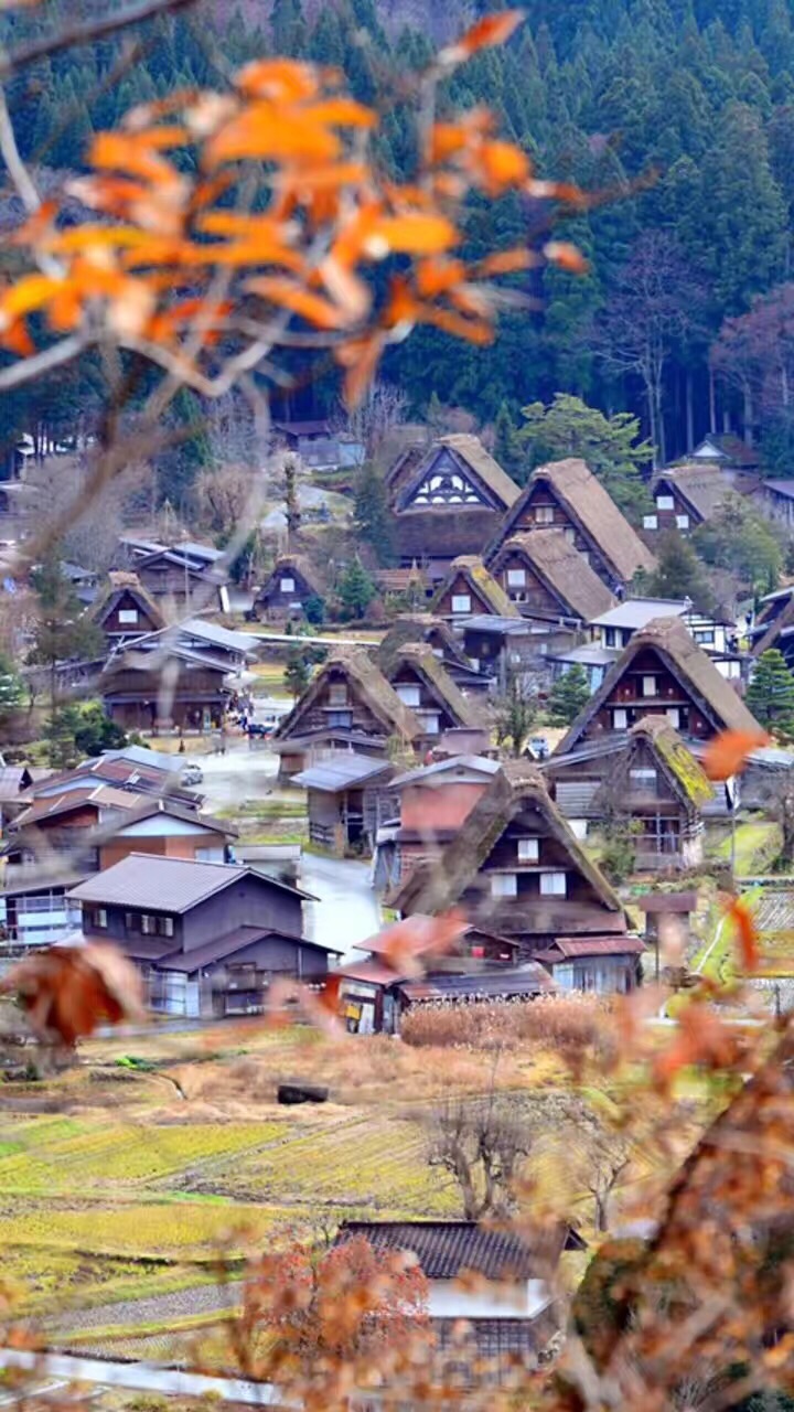 白川乡合掌村