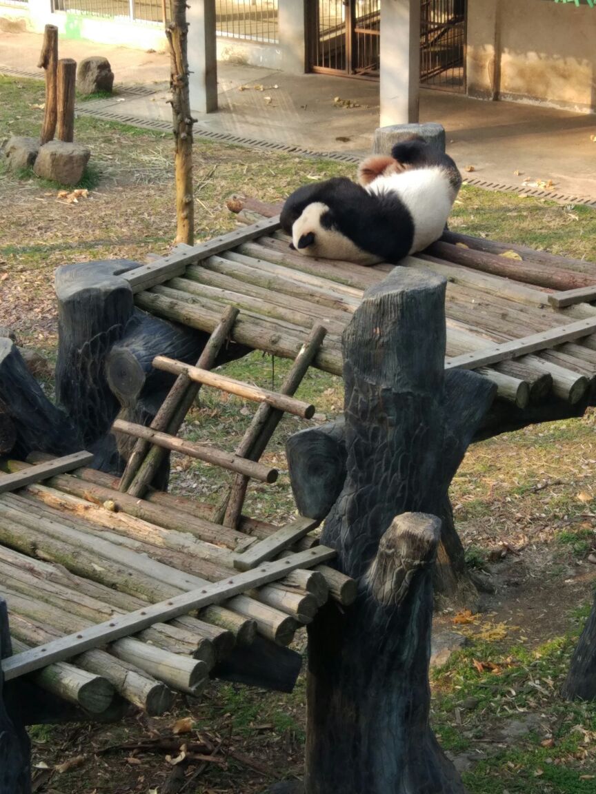 2018红山森林动物园_旅游攻略_门票_地址_游记点评