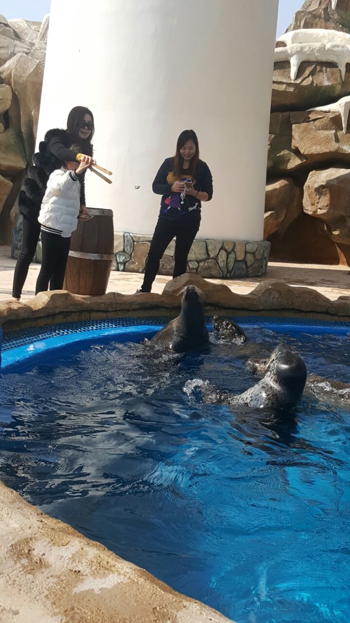 新华联大白鲸海洋公园