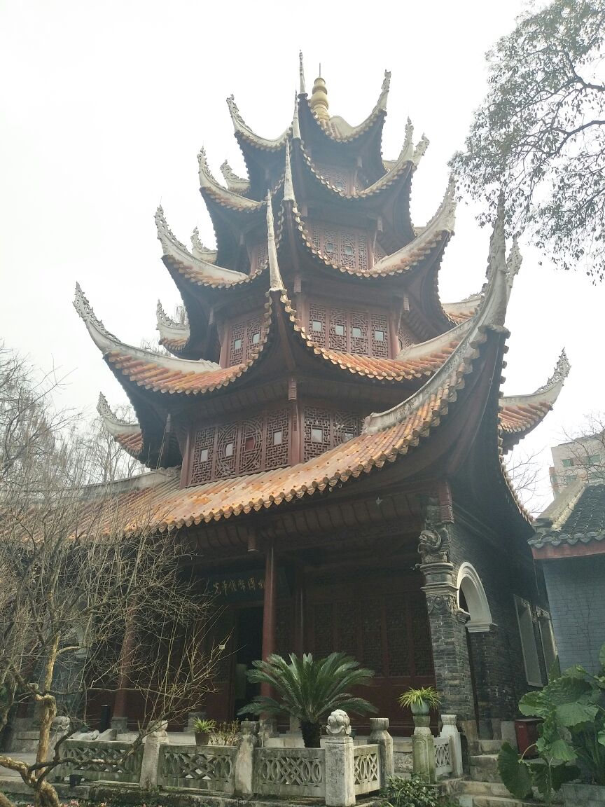贵阳光华钱币博物馆好玩吗,贵阳光华钱币博物馆景点样