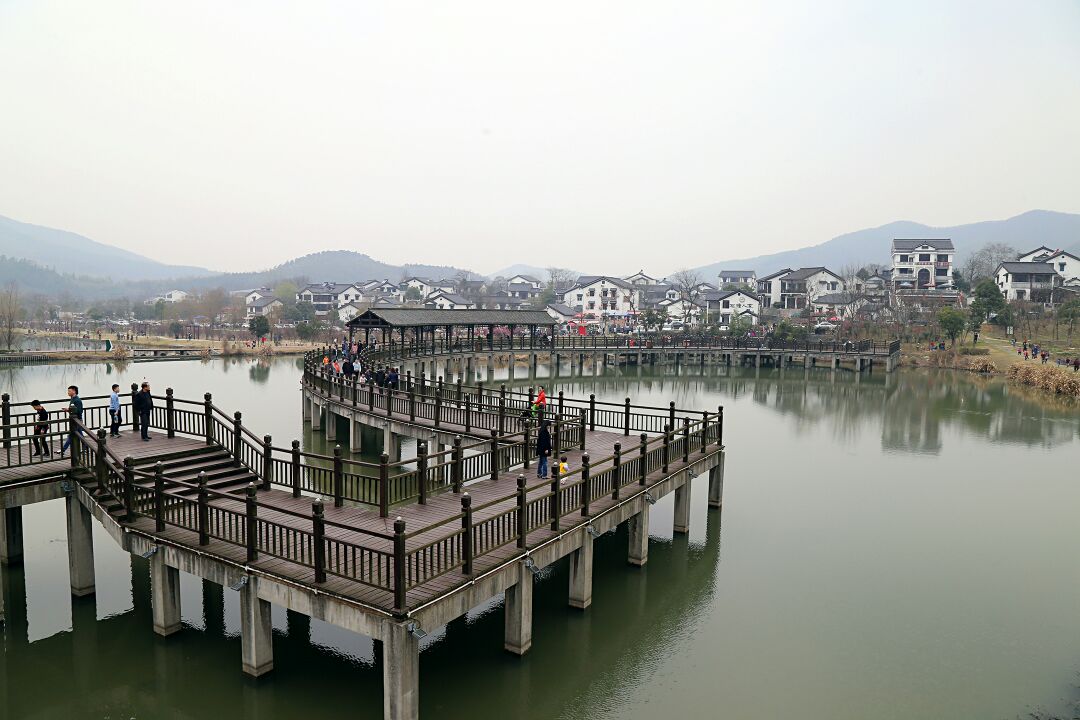 石塘竹海