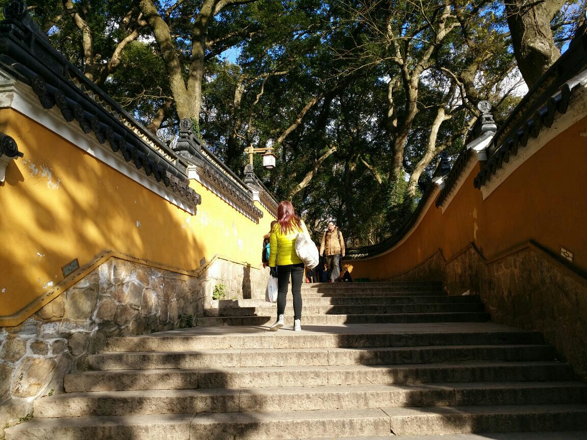 法雨寺