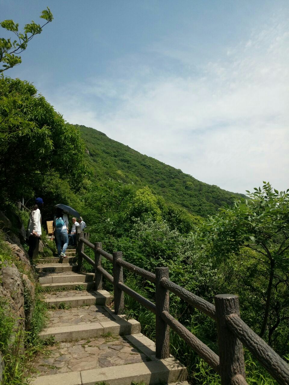 大阳山国家森林公园