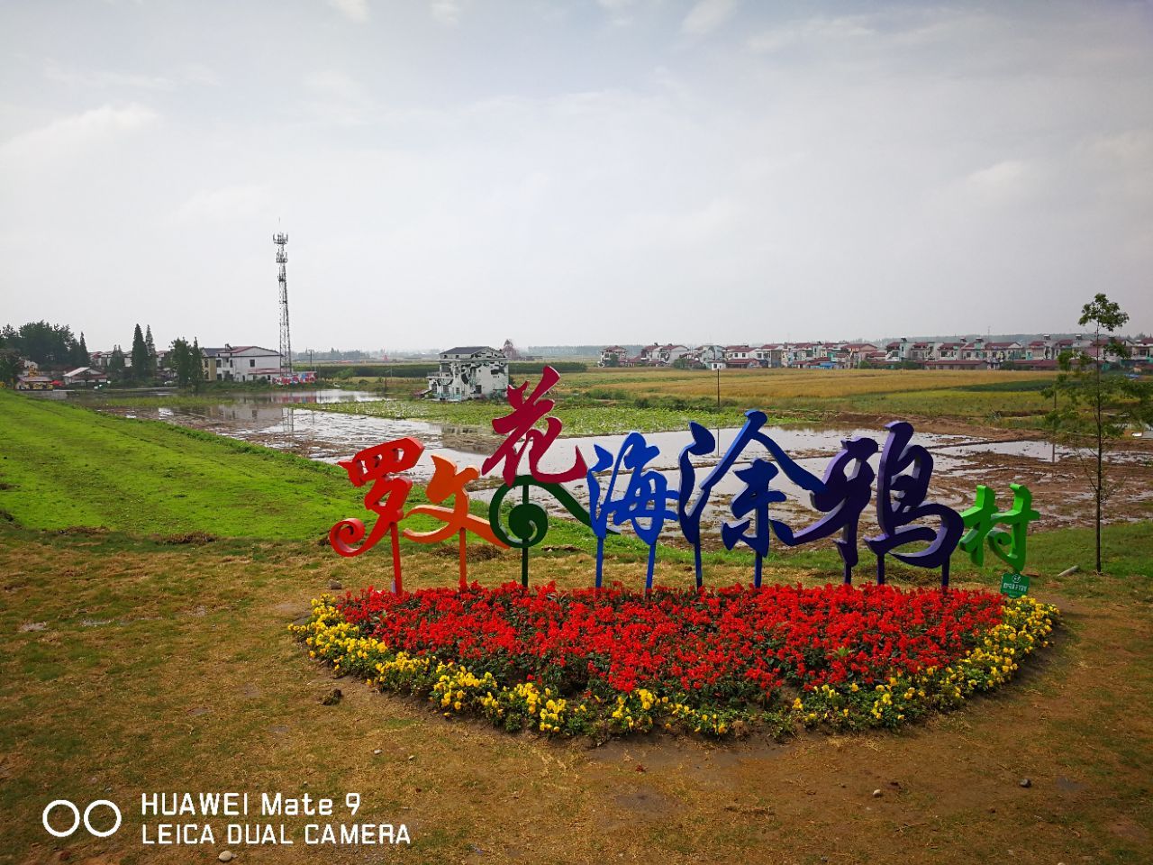 南县罗文花海涂鸦村攻略,南县罗文花海涂鸦村门票