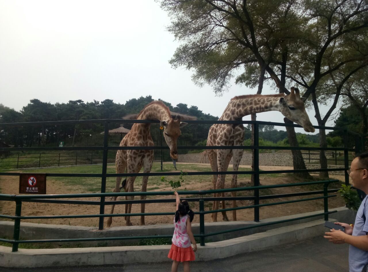沈阳森林动物园