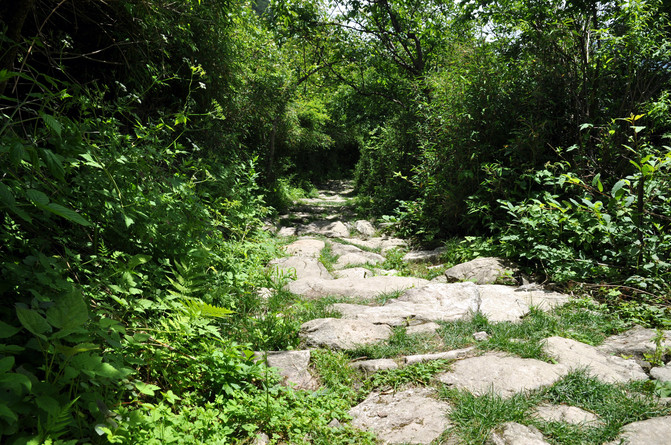 终南山秦楚古道游记