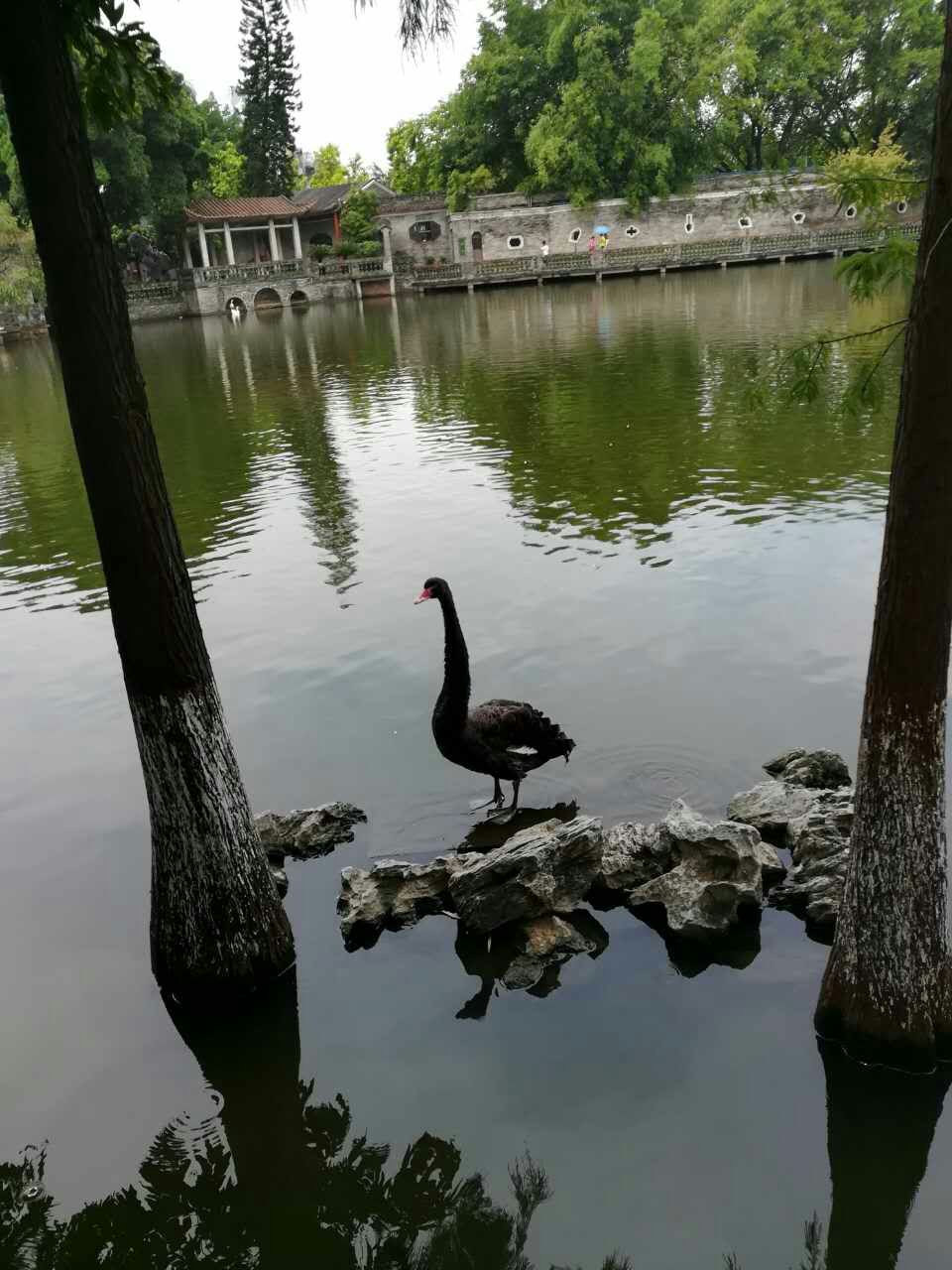 东莞可园好玩吗,东莞可园景点怎么样_点评_评价【携程