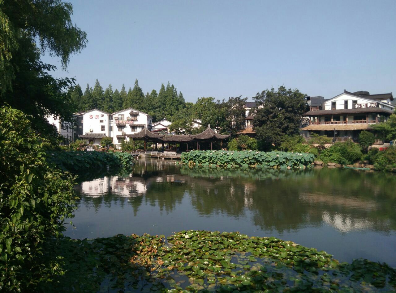 杭州青芝坞好玩吗,杭州青芝坞景点怎么样_点评_评价