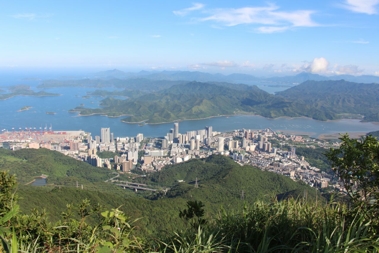 梧桐山