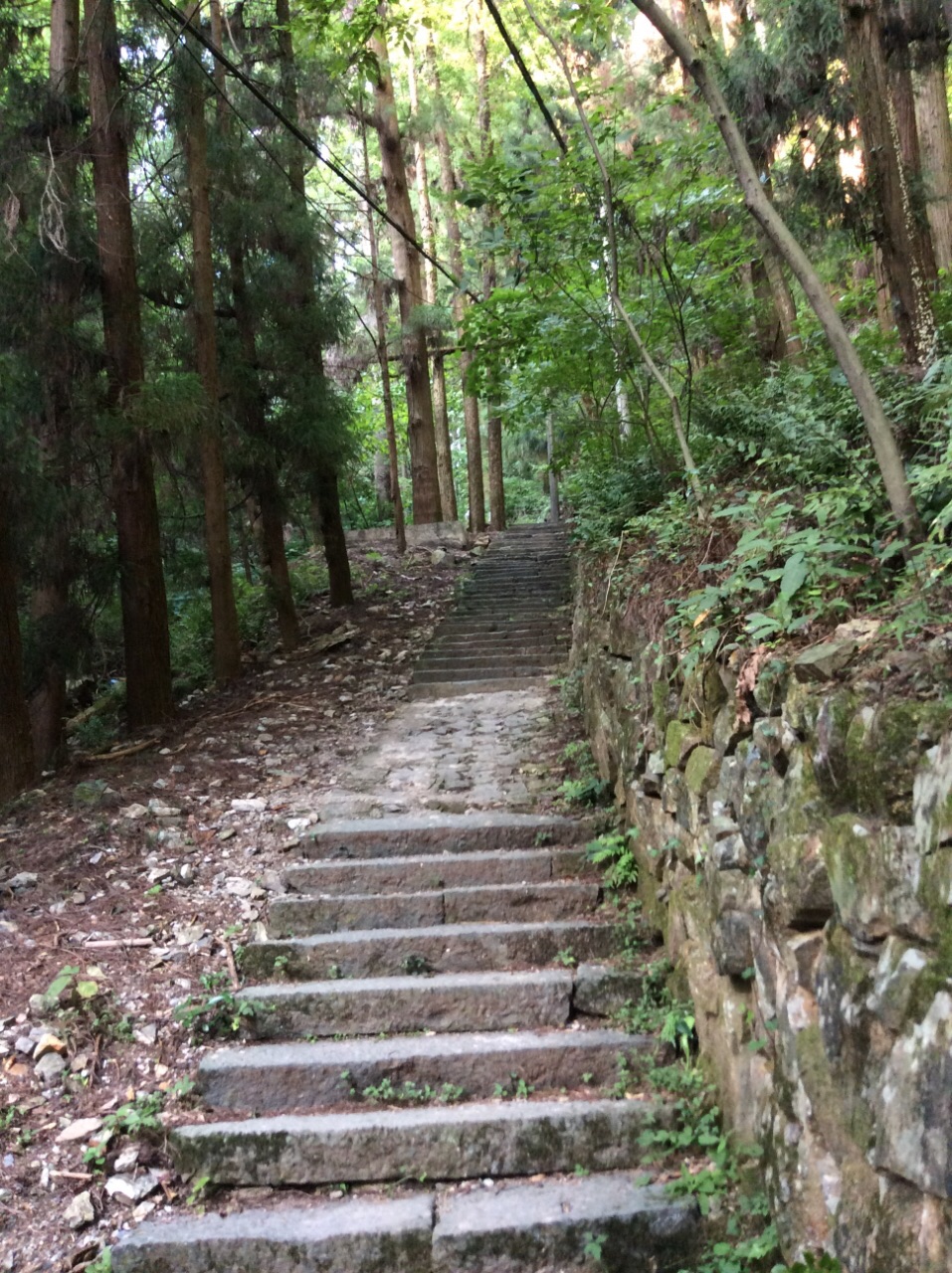 天目山景区旅游景点攻略图