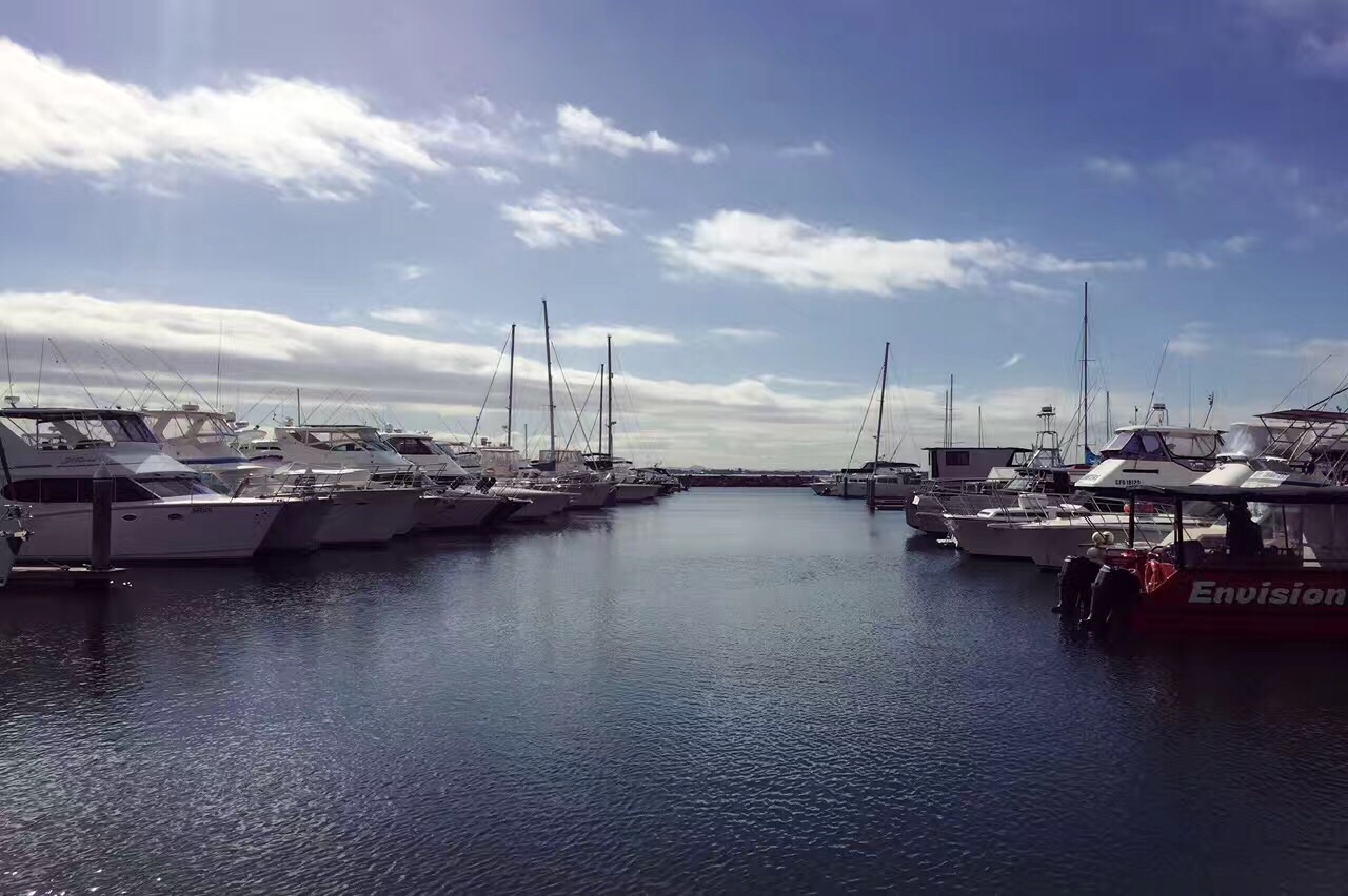 port stephens史蒂芬斯港,非常适合周末出游的地儿…的地方…海上