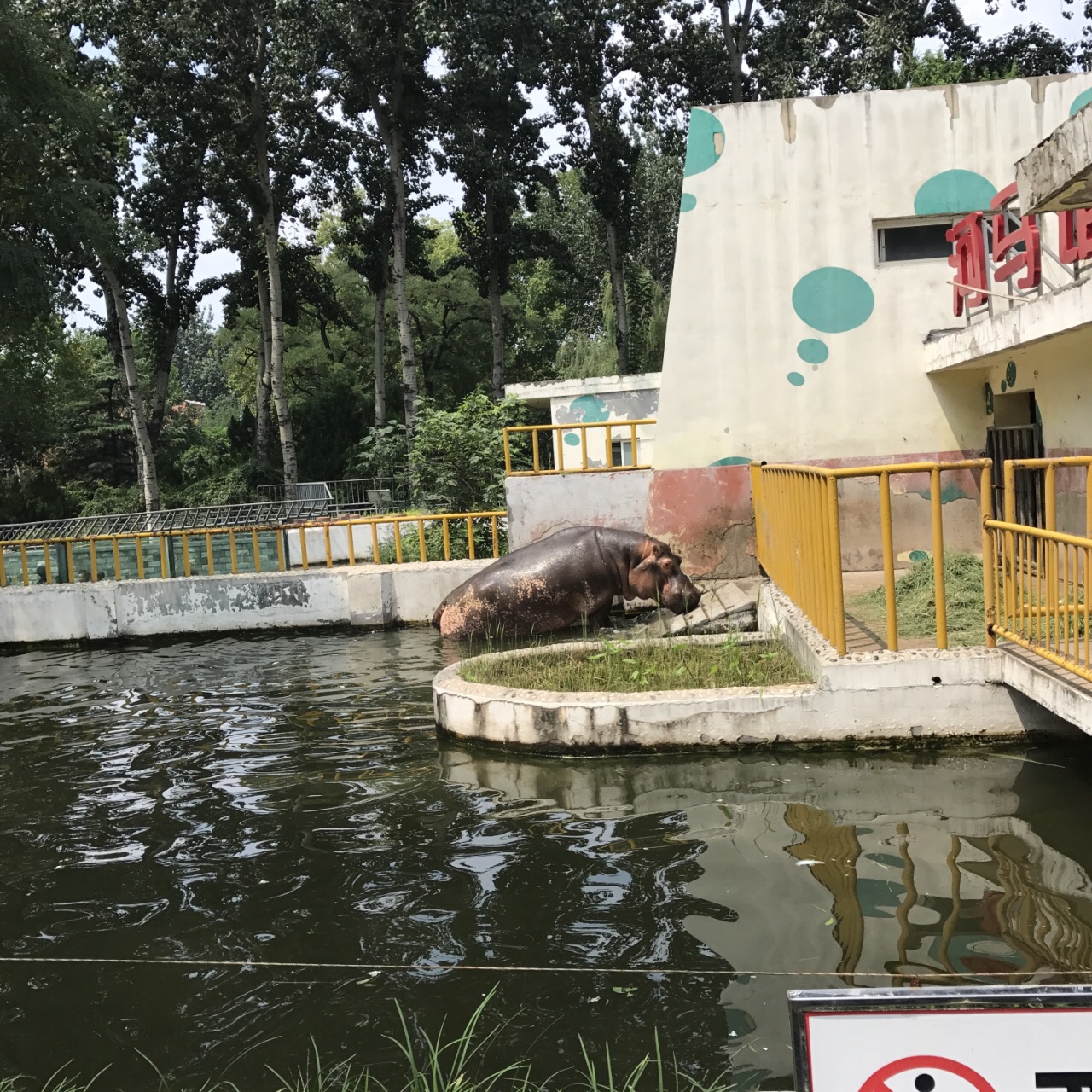 济南动物园jinan zoo