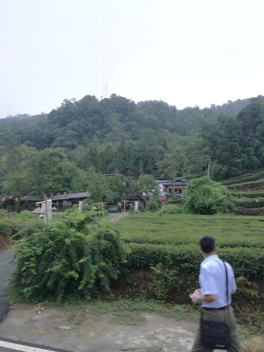 蒙顶山位于四川省雅安市境内,四川盆地西南部,横亘于名山区城西北侧