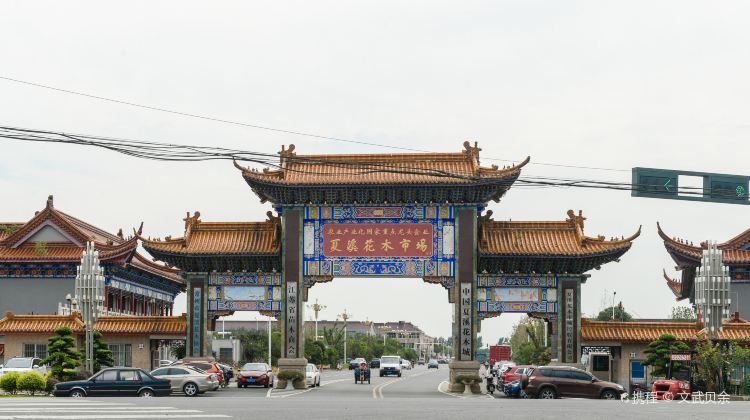 常州夏溪花木市场游玩攻略-夏溪花木市场门票多少钱