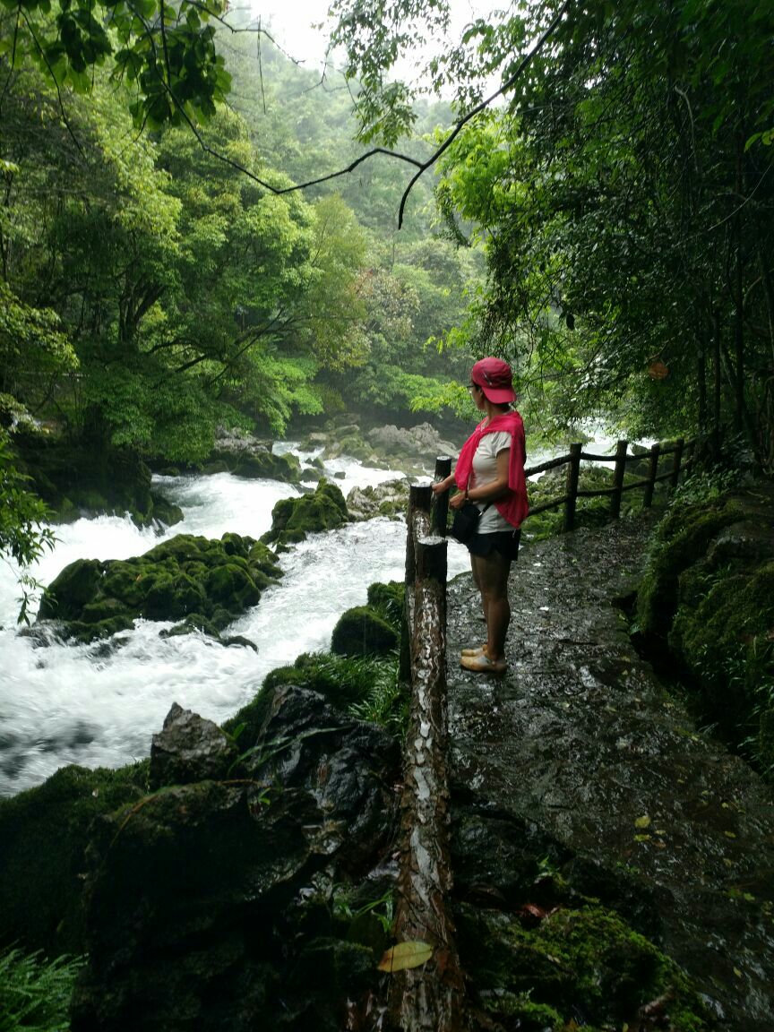 荔波茂兰自然保护区