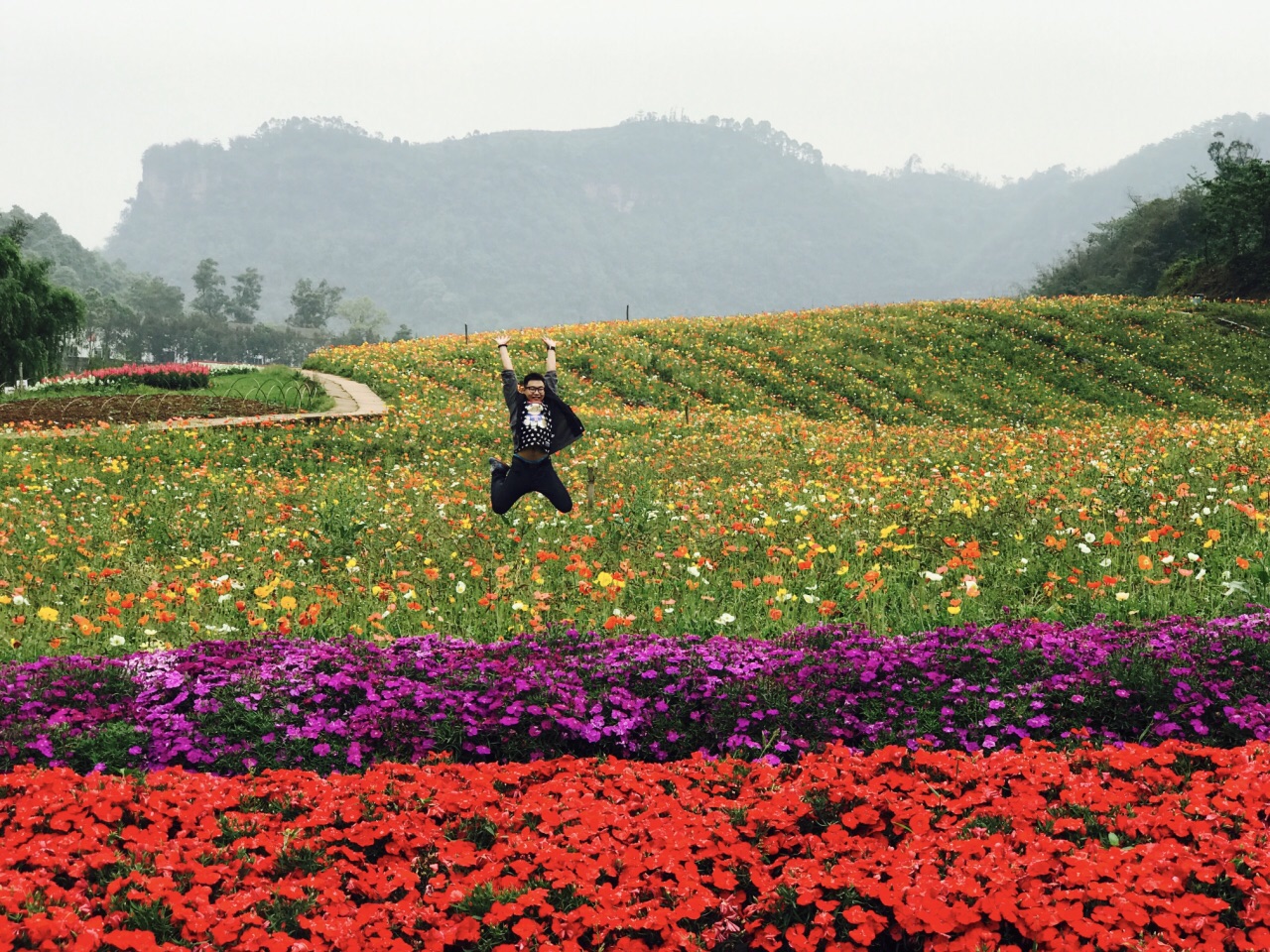 清溪谷旅游区花田酒地景区