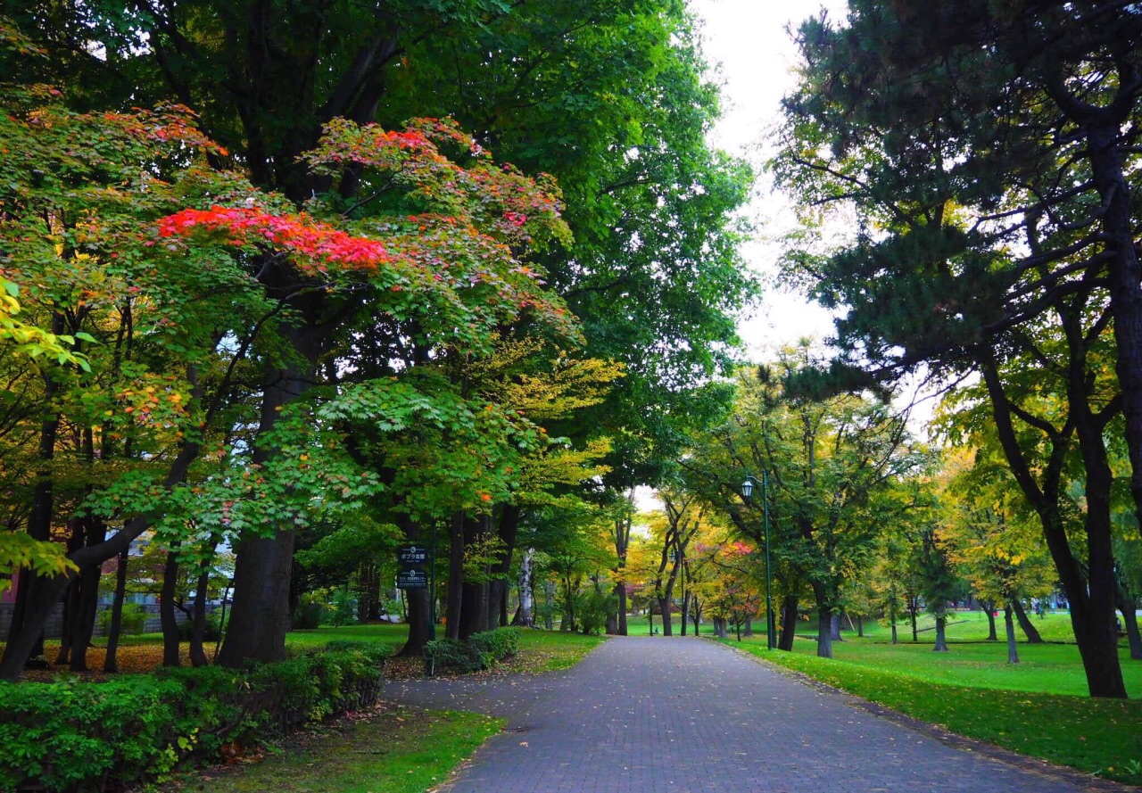 北海道大学