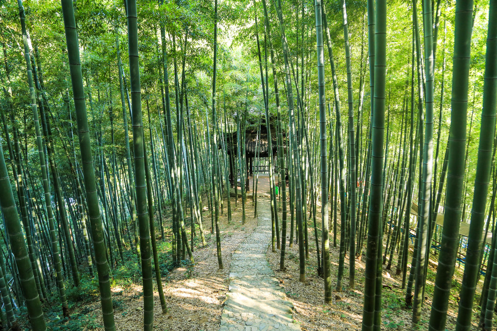 跟着女神游安吉,赏竹海吃美食探寻卧虎藏龙拍摄地