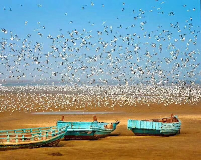 北戴河湿地公园