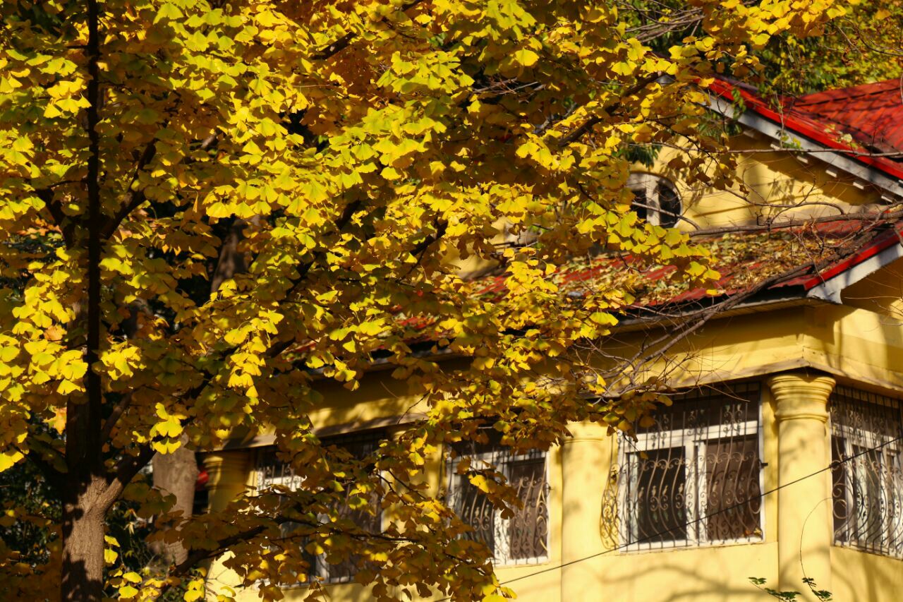 南京大学