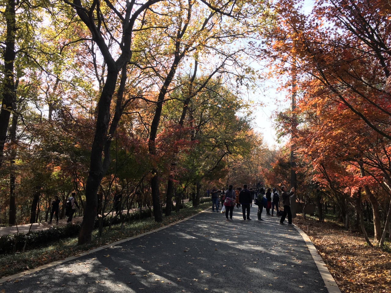 【携程攻略】南京栖霞山好玩吗,南京栖霞山景点怎么样_点评_评价