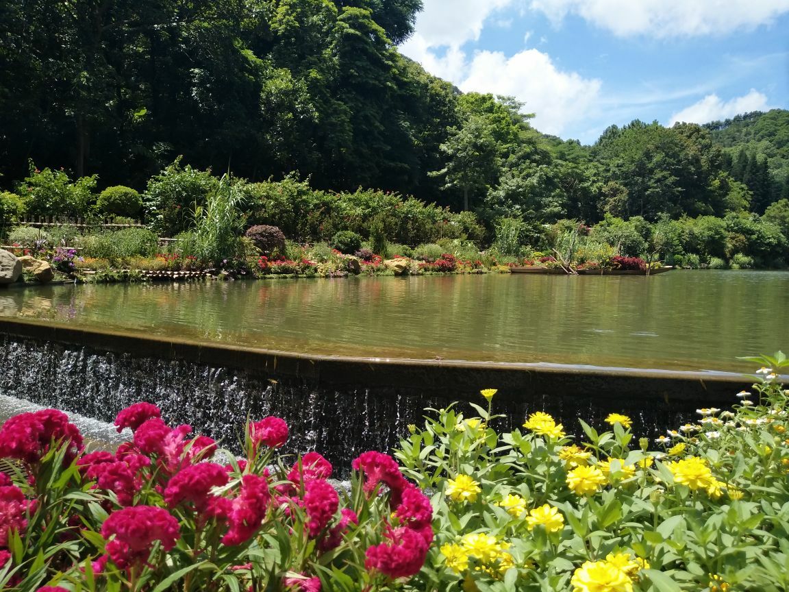 深圳仙湖植物园好玩吗,深圳仙湖植物园景点怎么样