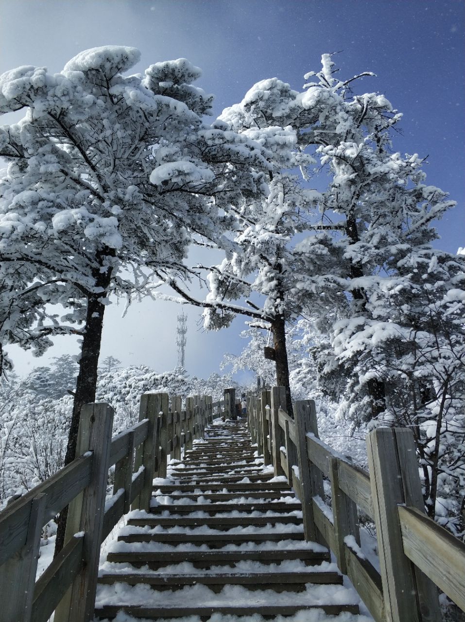 西岭雪山