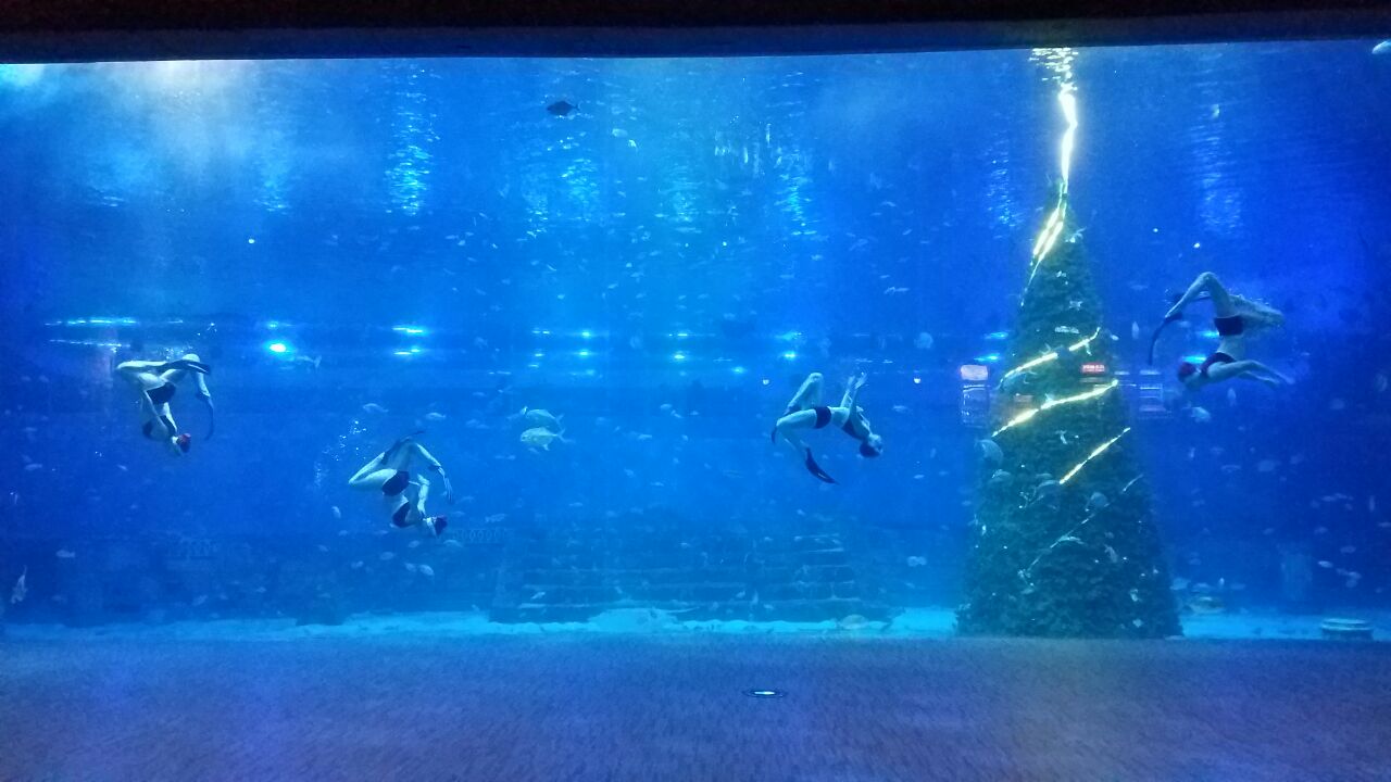 汉海海洋公园