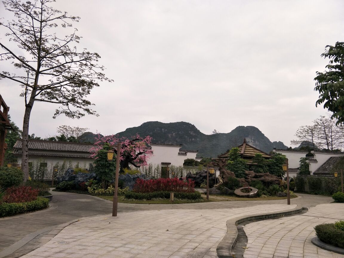 武鸣区花花大世界好玩吗,武鸣区花花大世界景点怎么样_点评_评价