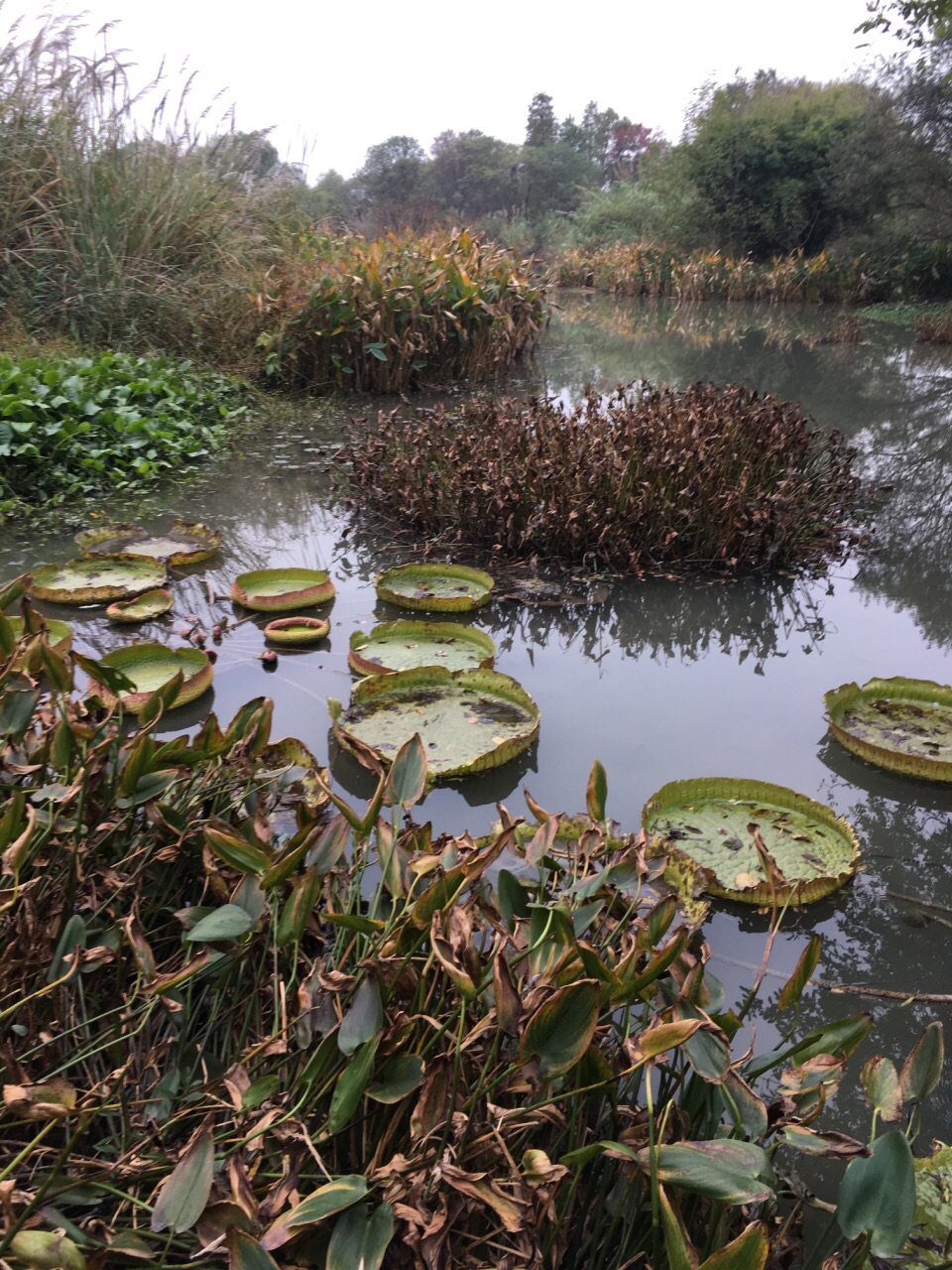 西溪国家湿地公园旅游景点攻略图