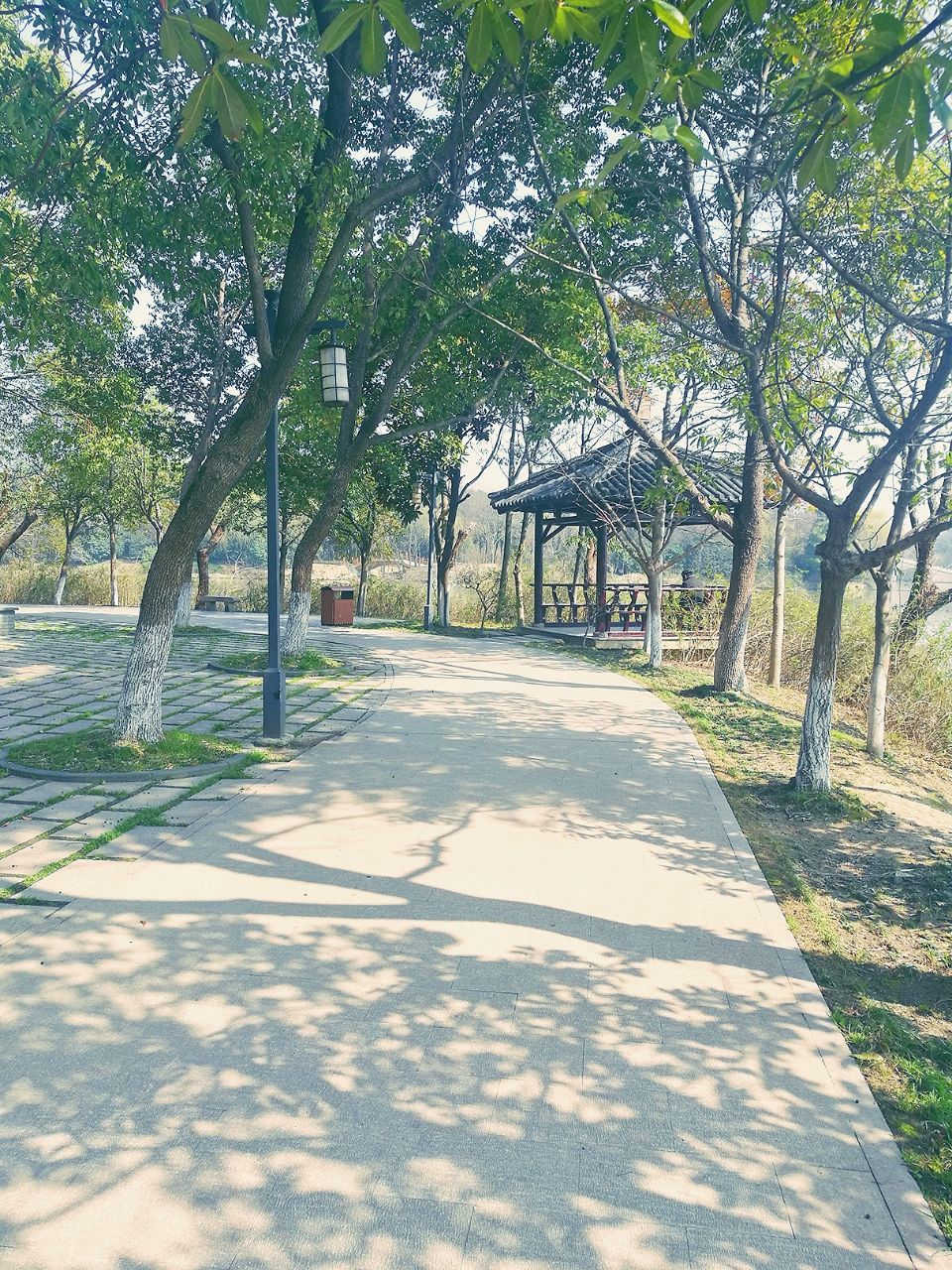 放鹤洲