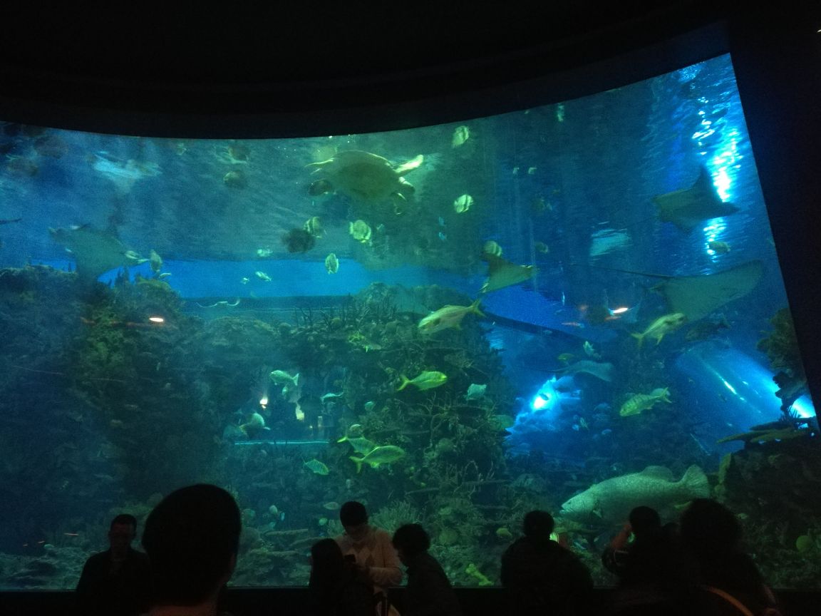 北京海洋馆
