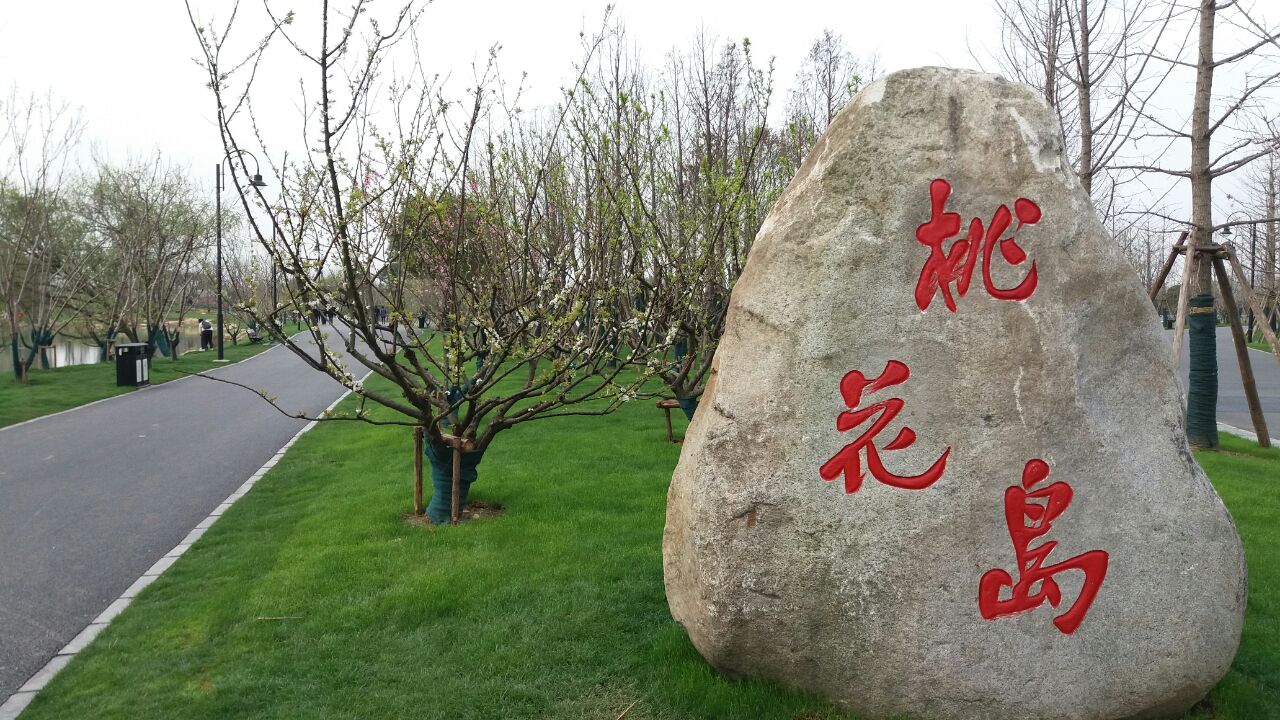 桃花岛除了桃花还有樱花,梨花等等,而且还有一个东湖国际艺术园