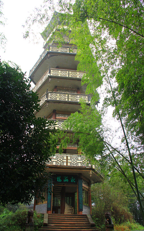 清风摇曳,竹影婆娑 清风摇曳,竹影婆娑 day3:观海楼 蜀南竹海景区公路