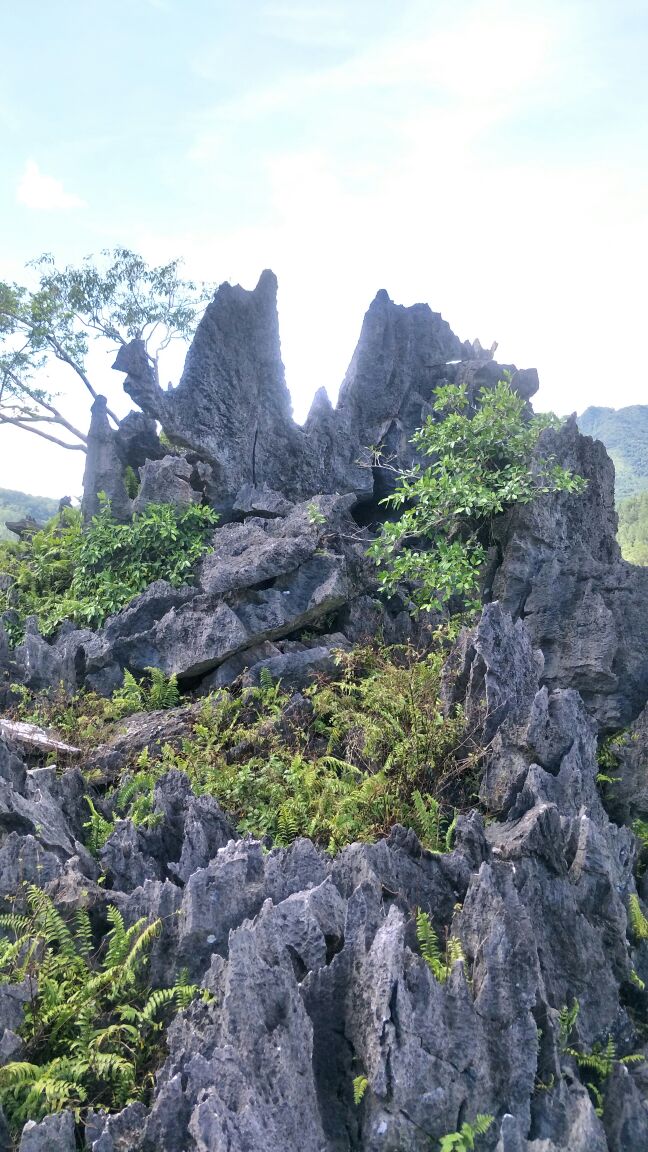 仙安石林旅游景点攻略图