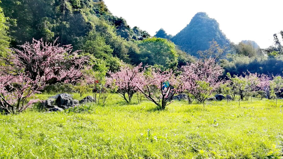 世外桃源旅游景点攻略图