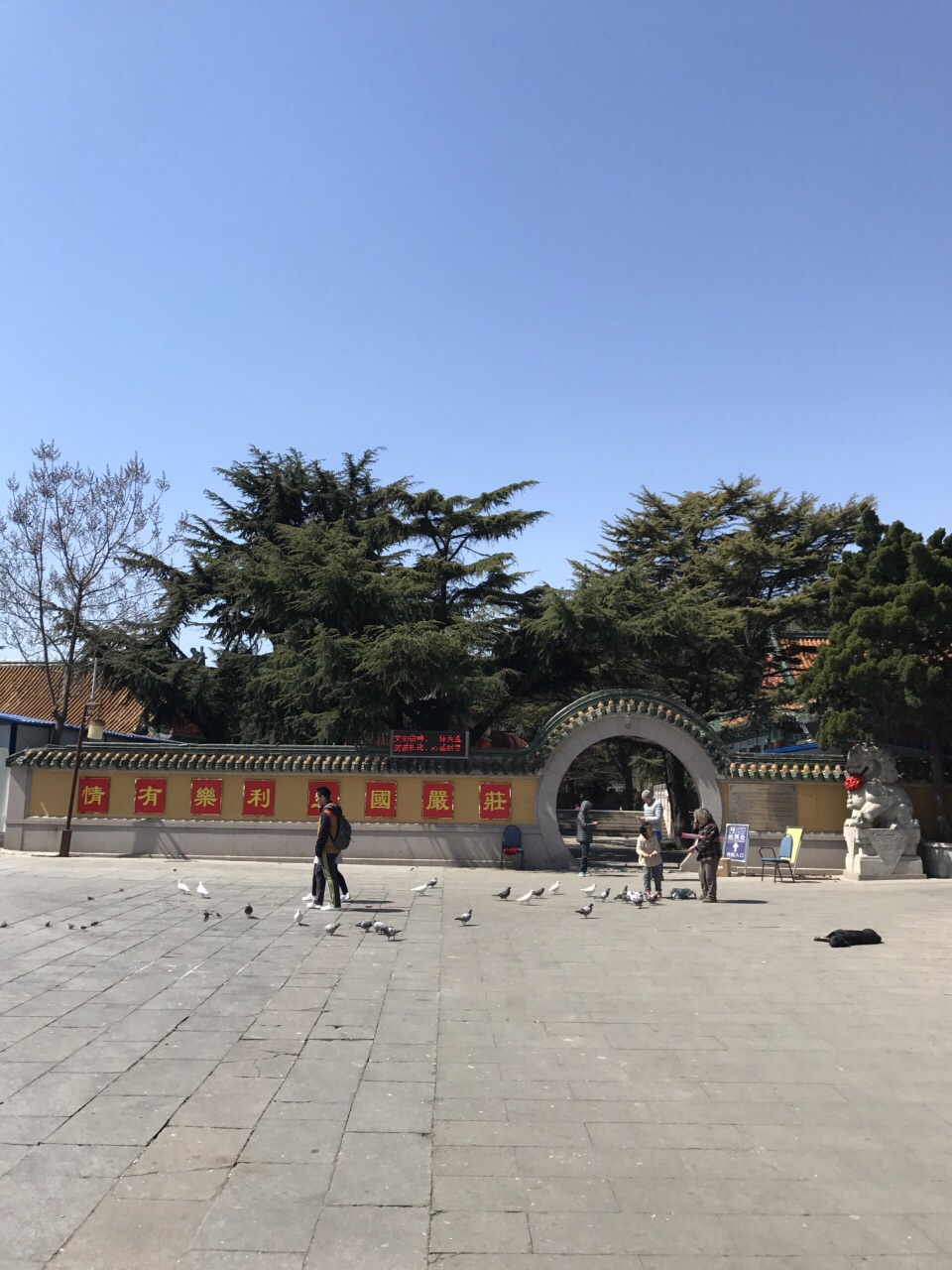 2019湛山寺_旅游攻略_门票_地址_游记点评,青岛旅游景点推荐 去哪儿