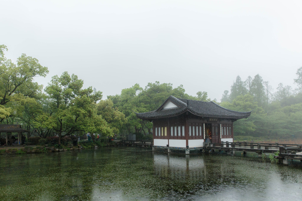 杭州美景四月天,春雨如酒柳如烟