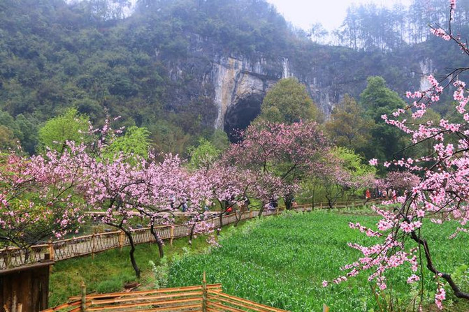 酉阳桃花源导游词 携程网