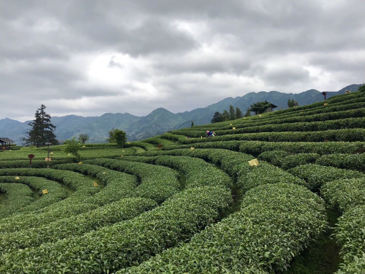 三江仙人山景区好玩吗,三江仙人山景区景点怎么样