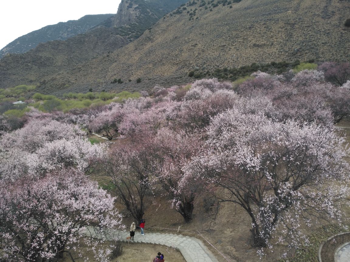 桃花沟