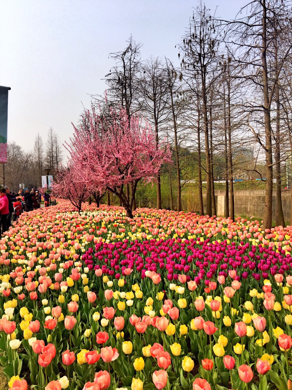 2019上海植物园_旅游攻略_门票_地址_游记点评,上海