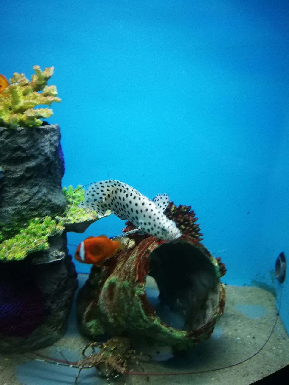 南宁海底世界