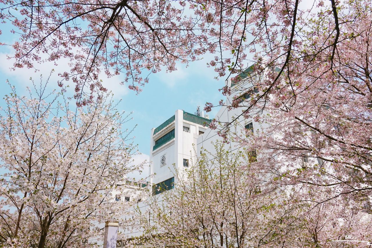 武汉武汉大学好玩吗,武汉武汉大学景点怎么样_点评