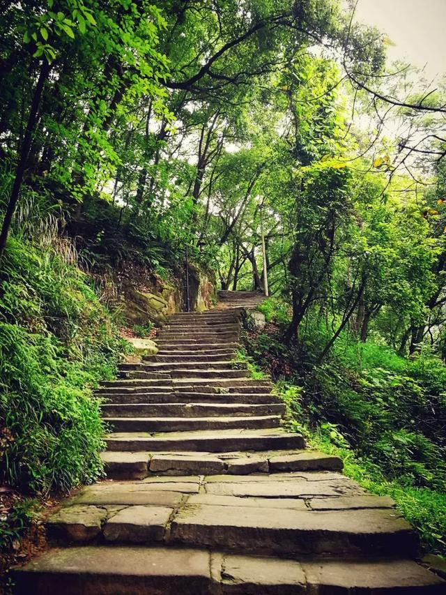 我爱重庆南山黄桷古道,让心灵在登山中得到释放