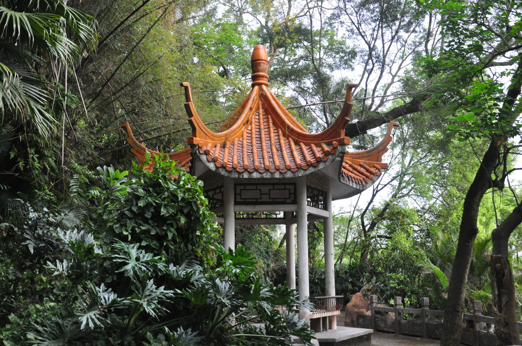 广西游记之梧州中山公园