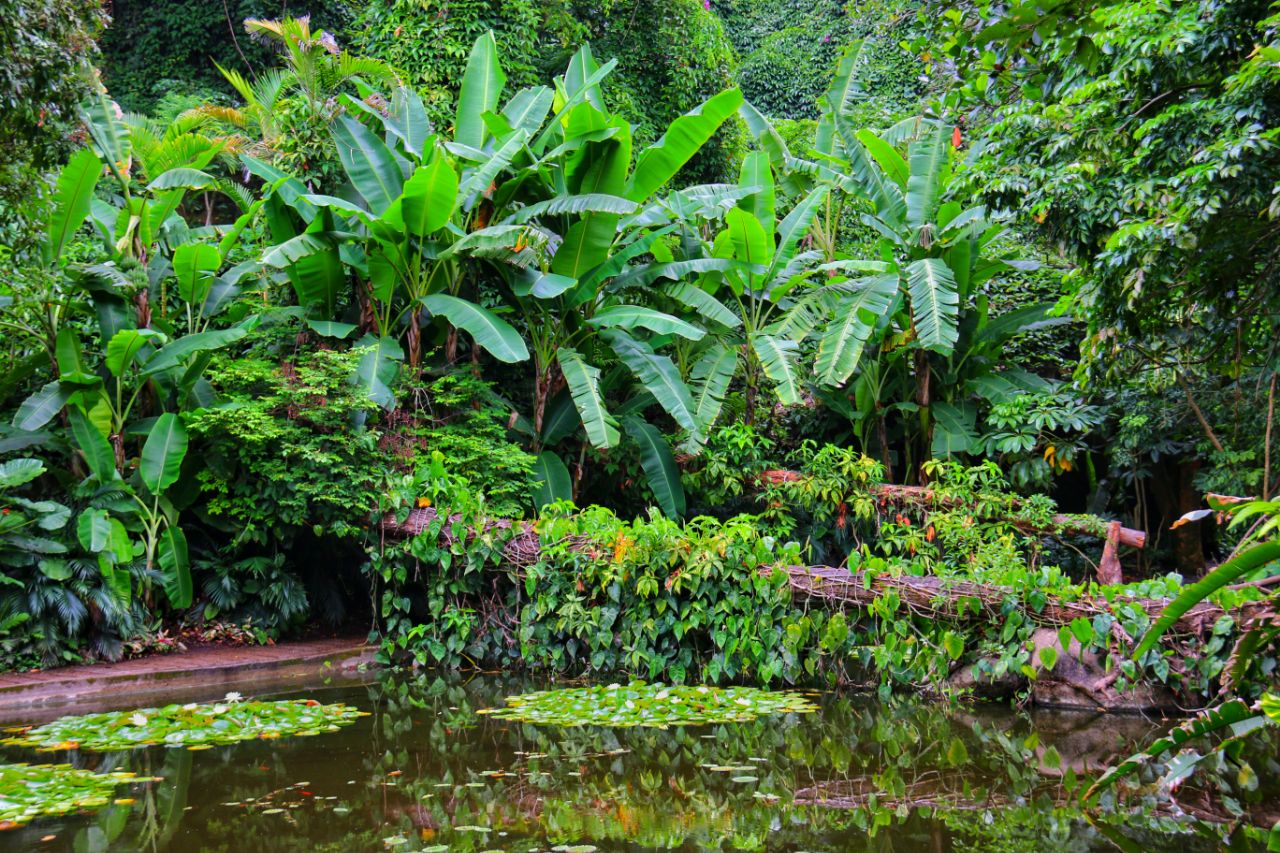 厦门园林植物园