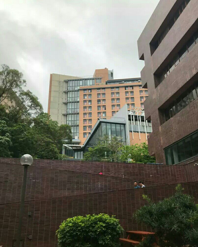 香港大学